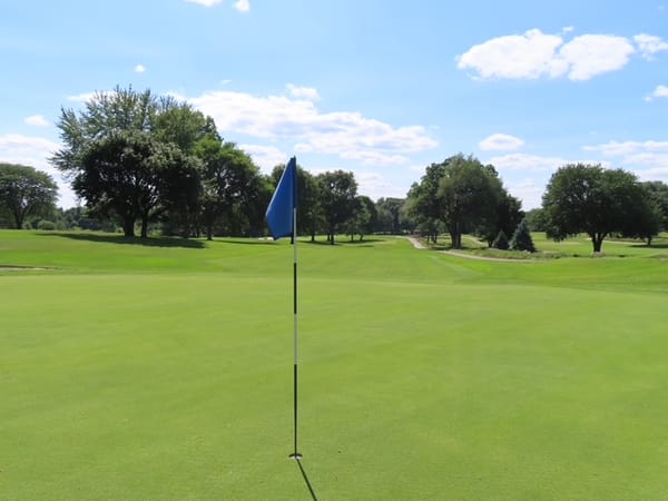 A putting green with a blue flag, looking down a wide tree-lined fairway